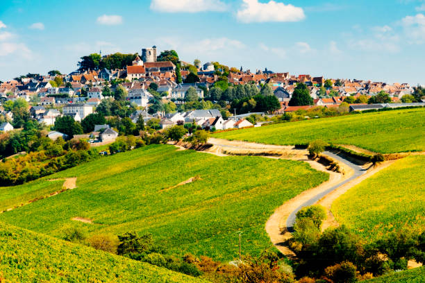 Sancerre village, Loire Valley, France Sancerre village on top of its hill, with foreground vinyards, in the area of the Loire Valley, France. loire valley photos stock pictures, royalty-free photos & images