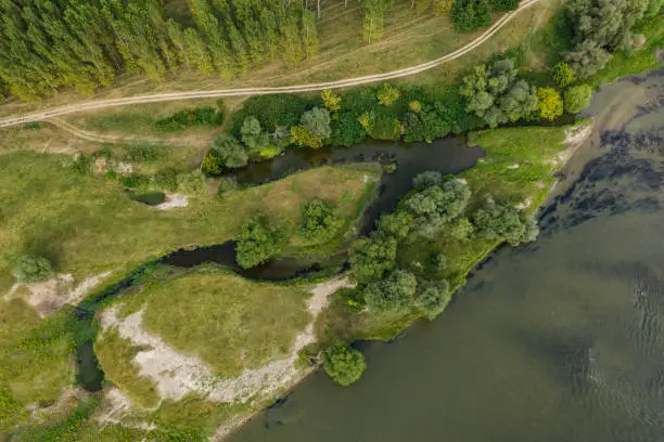 Drone image, photographed directly above a wild river with a huge dead tree trunk near the sandy shore, ideal as e background for enviromental issues. Shot on Mavic 2 Pro with Hasselblad camera