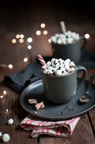 рождественские конфеты cane мяты горячий шоколад - peppermint chocolate candy christmas стоковые фото и изображения
