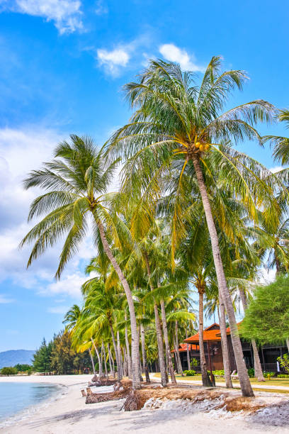 istock Cenang Beach in Langkawi island, Malaysia 1047071442