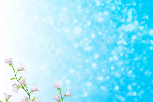 istock Bright and colorful flowers bells. 1047076606
