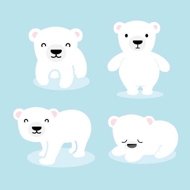 Cute Polar Bear Cartoon Vector Illustration Stock Illustration - Download  Image Now - Cub, Polar Bear, Animal - iStock