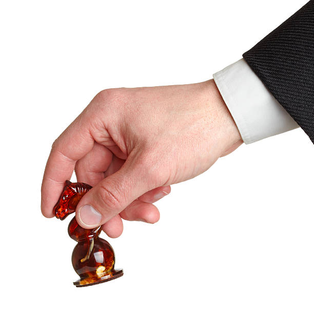 istock Man's hand holding chess horse. 104708561