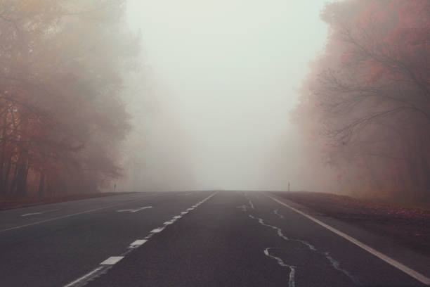Autumn road in the misty forest. Soft focus. Toned