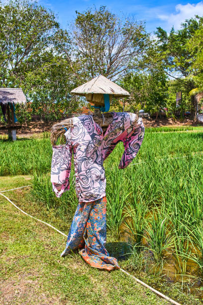 istock Scarecrow in a rice field 1047098346