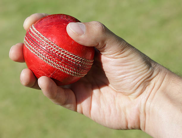 istock Cricket bowler with ball in hand 104710796