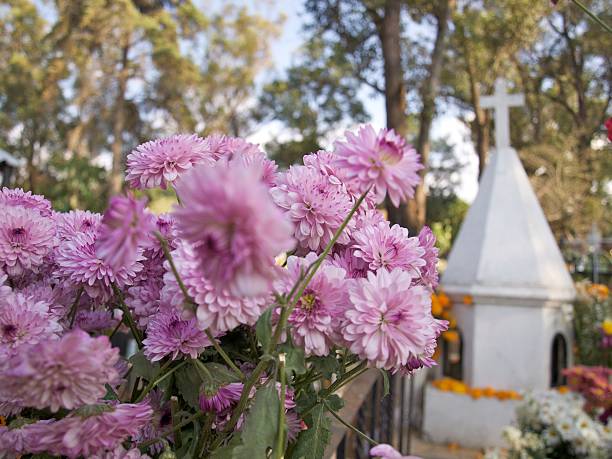 istock Old Graveyard in Patzcuaro Mexico. 104710828