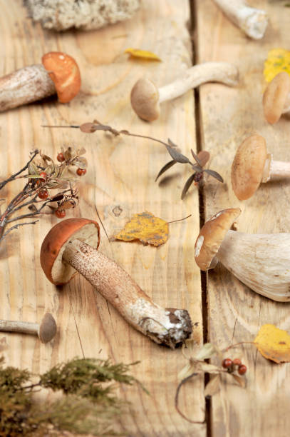 istock mushrooms on a wooden rustic background 1047115222