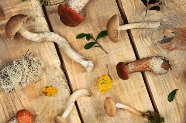 istock mushrooms on a wooden rustic background 1047115370