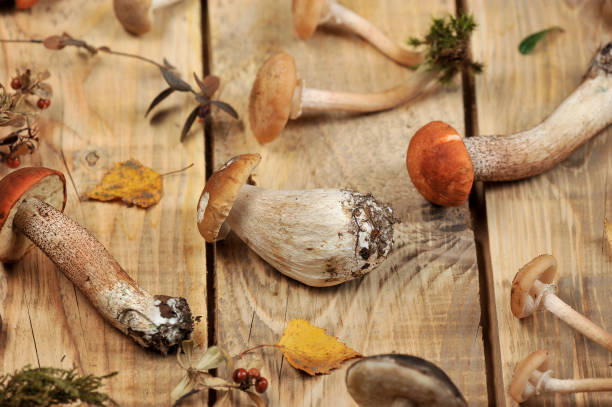 istock mushrooms on a wooden rustic background 1047116600