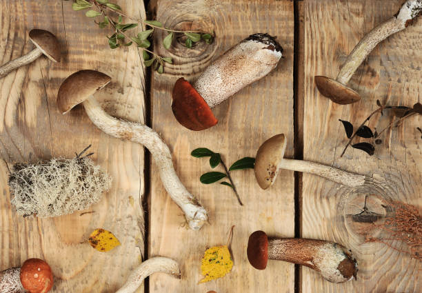 istock mushrooms on a wooden rustic background 1047121668