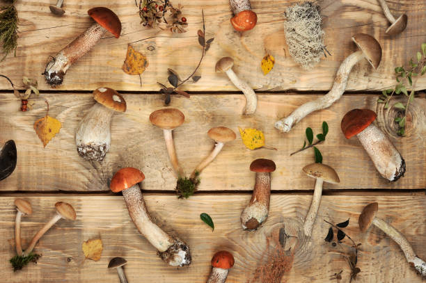 istock mushrooms on a wooden rustic background 1047121822