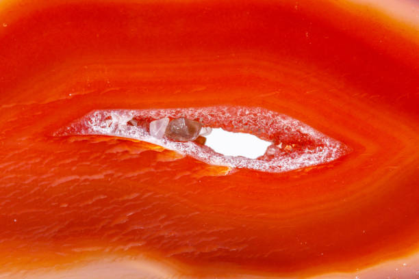 istock Macro mineral orange agate in crystals on white background 1047121978