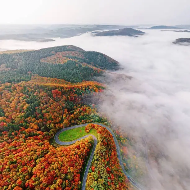 Photo of Aerial view of autumn forest road go down into morning fog. Mosele Valley, Germany.