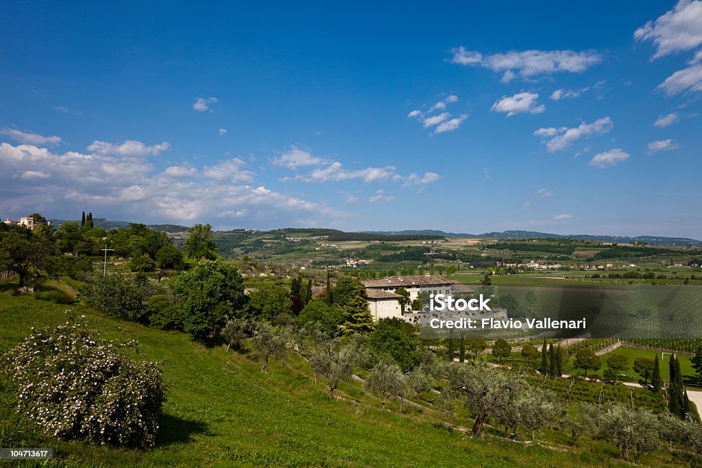 Valpolicella Panorama, Italie - Photo de Agriculture libre de droits