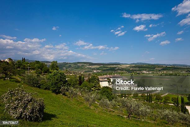 Photo libre de droit de Valpolicella Panorama Italie banque d'images et plus d'images libres de droit de Agriculture - Agriculture, Arbre, Blanc