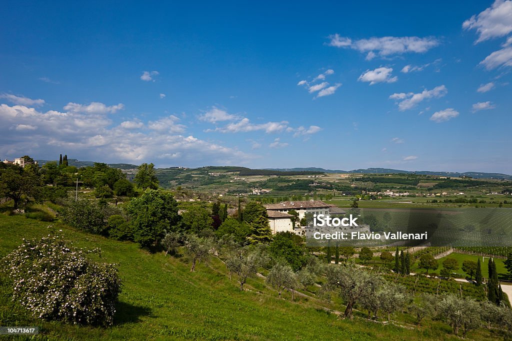 Valpolicella Panorama, Włochy - Zbiór zdjęć royalty-free (Bez ludzi)