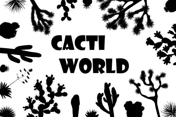 ilustraciones, imágenes clip art, dibujos animados e iconos de stock de marco de cactus de flores silvestres exóticas. bandera de saguaro, nopal y árbol de joshua - southwest usa frame mexican culture pattern