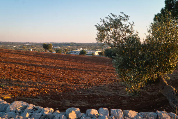 Agricultural landscape over the hills of Puglia land.