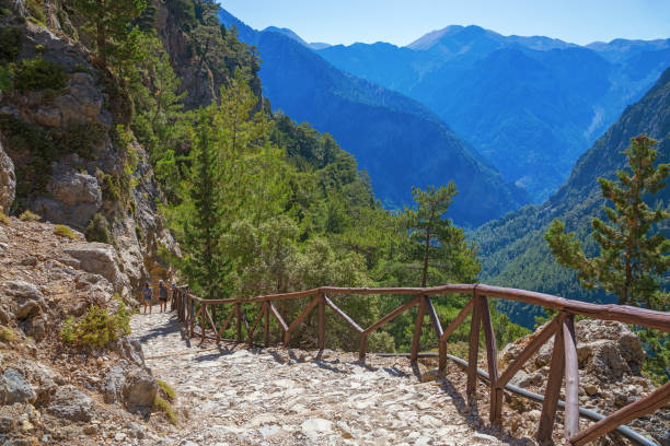 national park of samaria, grecce, island crete. gorge samaria. magnificent view the top of the mountain. forest path. - greece blue forest national landmark imagens e fotografias de stock