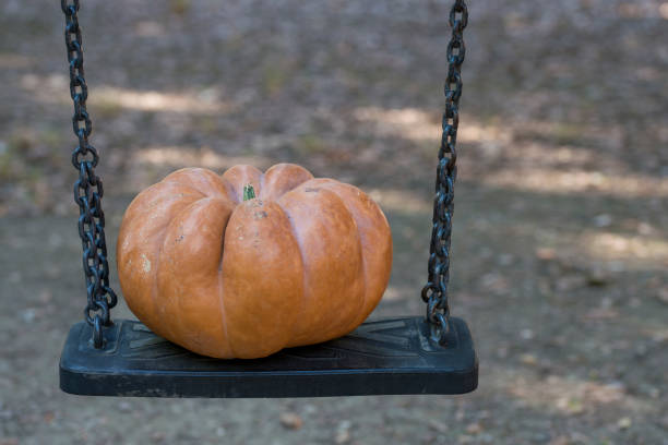 istock real orange halloween pumpkin with carving 1047179682