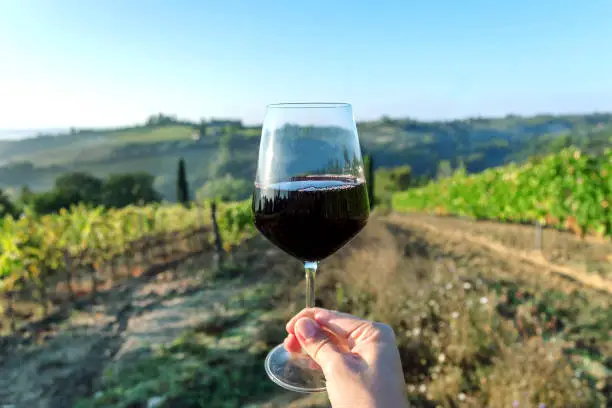 Photo of Wine glass over beautiful landscape of Tuscany, with green valley of grapes and hills around. Wine beverage tasting in Italy during harvest