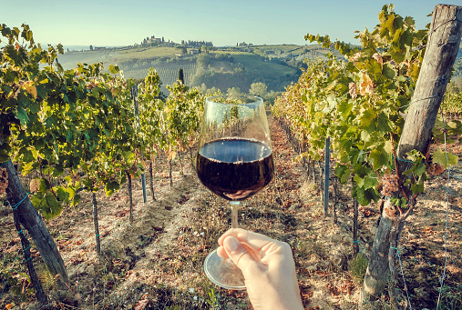 Glass of wine in hand of tourist in a natural landscape of Tuscany, with green valley of grapes. Wine beverage tasting in Italy during harvest