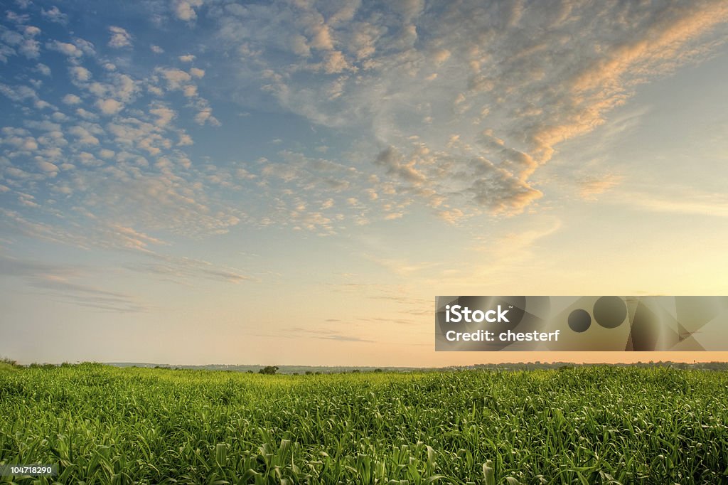 Majestoso o céu à noite - Foto de stock de Agricultura royalty-free