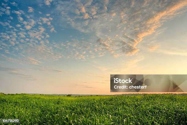 Majestoso Noite Céu - Fotografias de stock e mais imagens de Agricultura - Agricultura, Amanhecer, Anoitecer