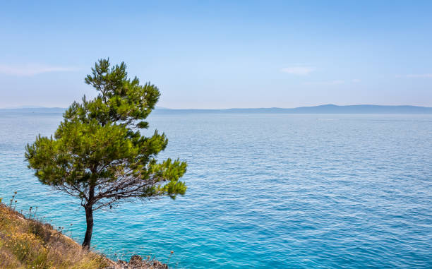 istock Mediterranean sea seascape in Croatia 1047183930