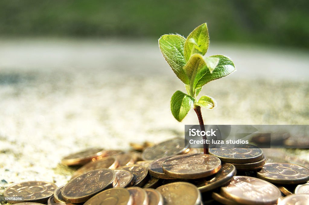 Small plant growing over coins Metaphor and concept of a plant growing in coins. Selective focus, close up. Business Stock Photo