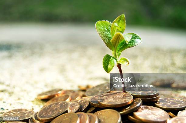 Small Plant Growing Over Coins Stock Photo - Download Image Now - Business, Close-up, Coin