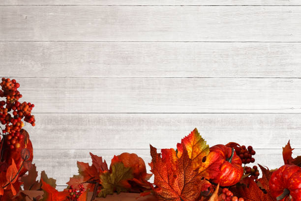 istock Autumn Garland In Front Of Whitewashed Planks 1047189222