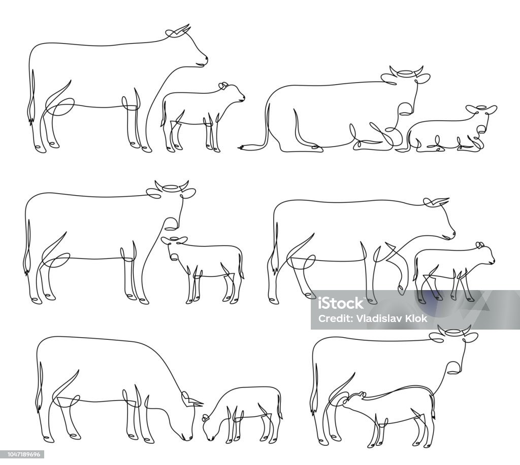 Continuous line drawing of cows and calves Continuous line drawing of cows and calves in different poses isolated on white for farms, groceries, butchery, dairy products packaging and branding. Calf stock vector