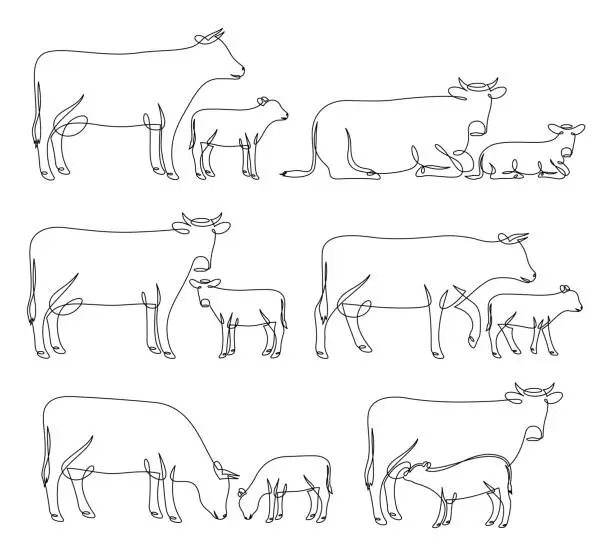 Vector illustration of Continuous line drawing of cows and calves