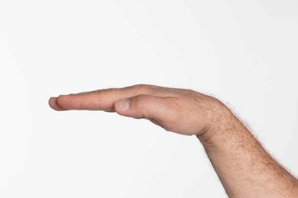 Holding or offering. Outstretched male hand, man keeping empty palm on white isolated background