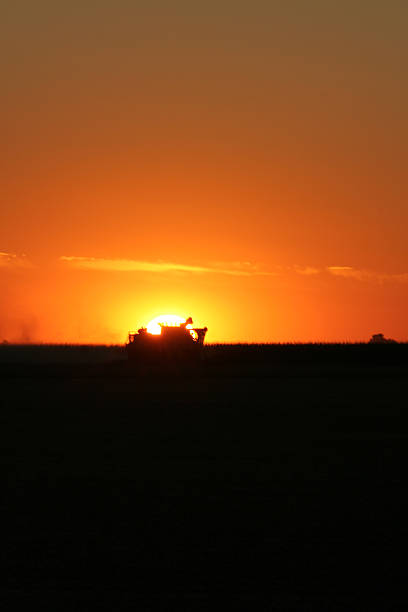istock Tractor in front of the setting sun 104720046