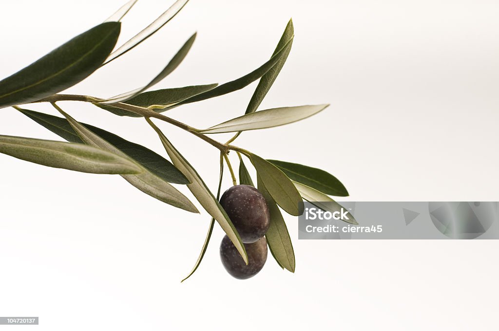 Maturo olive - Foto stock royalty-free di Ramoscello d'Ulivo