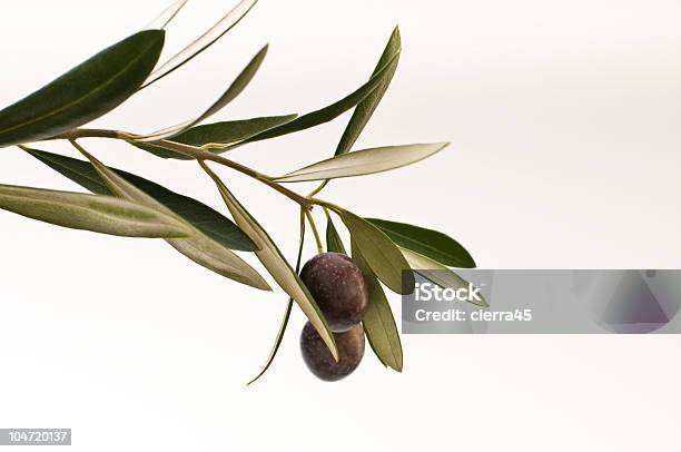 Maturo Olive - Fotografie stock e altre immagini di Ramoscello d'Ulivo - Ramoscello d'Ulivo, Agricoltura, Cibo