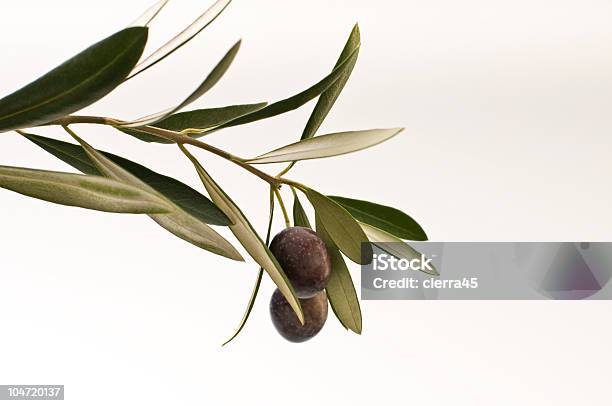 Dojrzałe Oliwek - zdjęcia stockowe i więcej obrazów Gałązka oliwna - Gałązka oliwna, Bez ludzi, Fotografika