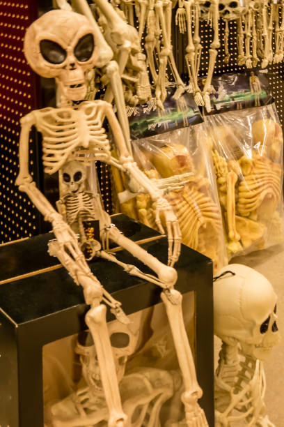 istock Skeletons for sale 1047203322