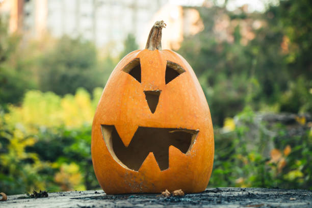 istock Halloween pumpkin outdoor. 1047207424