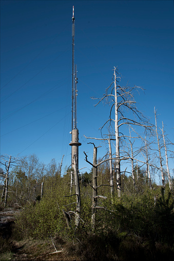 Antenna tower with dead trees around