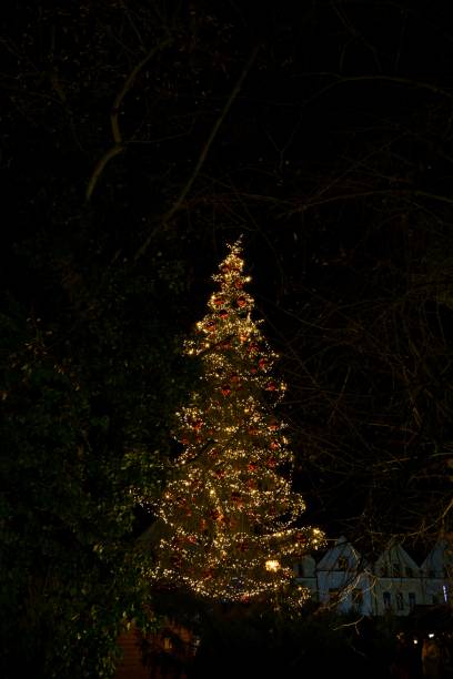 istock Christmas tree and decorations in the town. 1047217986