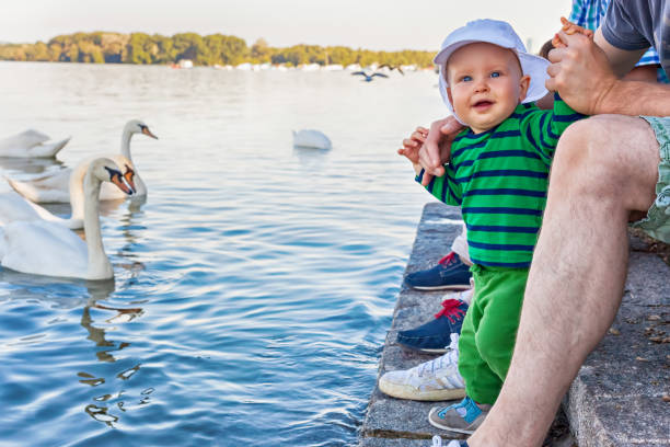istock Smiling baby amazed by swans on a lake 1047227168