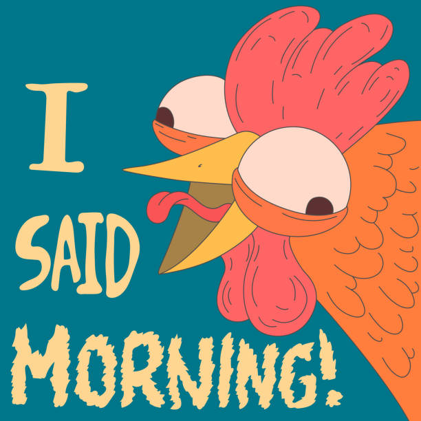 funny doodle with rooster funny doodle with rooster crazy chicken stock illustrations