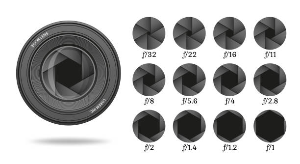 Aperture icon set with value numbers. Camera shutter lens diaphragm row. Vector illustration. Aperture icon set with value numbers. Camera shutter lens diaphragm row. Vector illustration. flower part photos stock illustrations