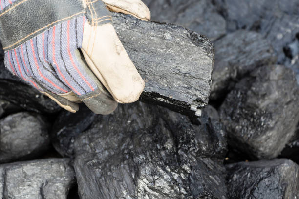 istock A man holding a piece of coal. 1047241580
