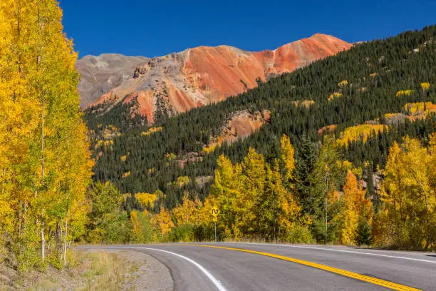 Golden aspens on Red Mountain Pass on the Million Dollar Highway in the Uncompahgre National Forest, Colorado.