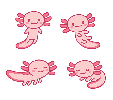 Cute cartoon axolotl drawing set. Little kawaii pink salamander character vector illustration.